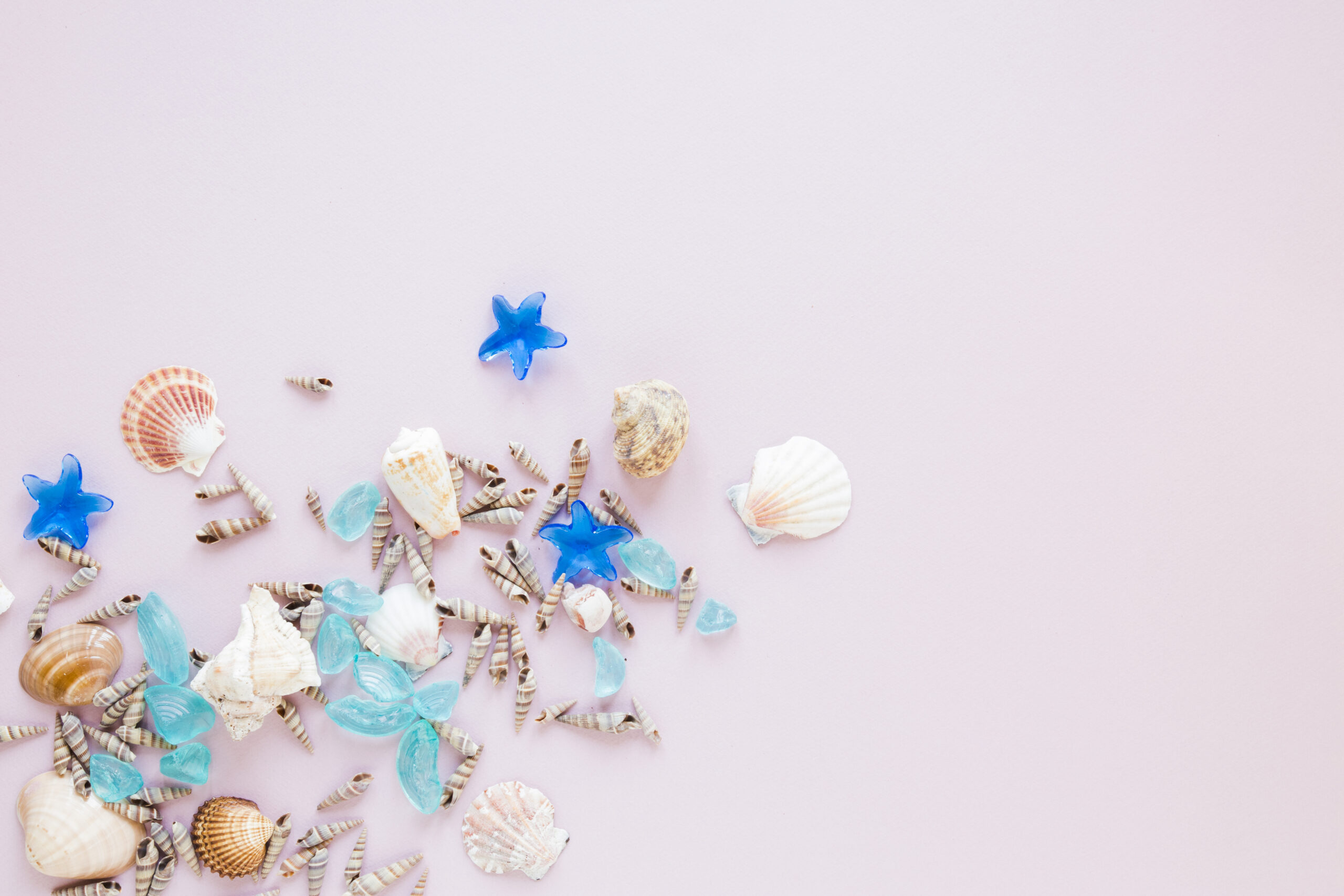 different-sea-shells-with-blue-stones